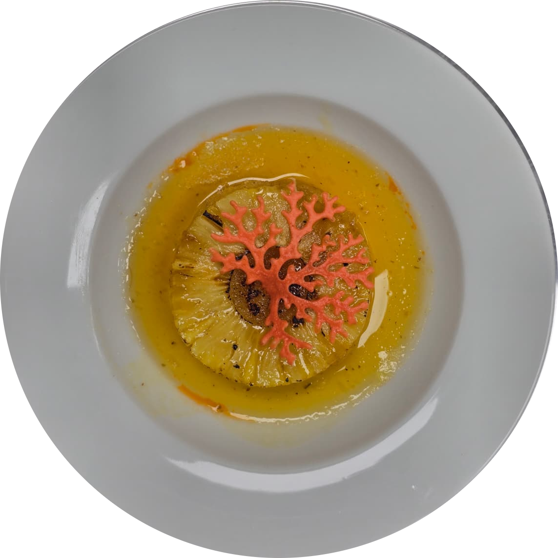 Dish